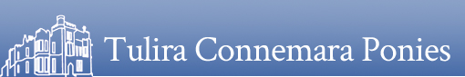 Tulira Connemara Ponies Logo